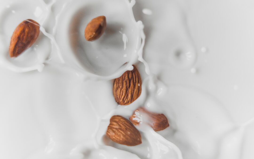 Milk Alternatives: Understanding Popular Options